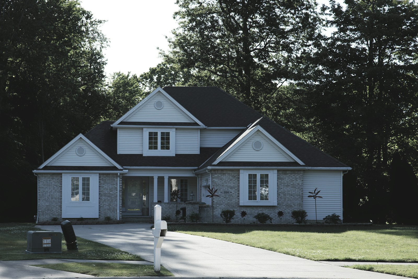 Open Room to belong, a home surrounded by trees