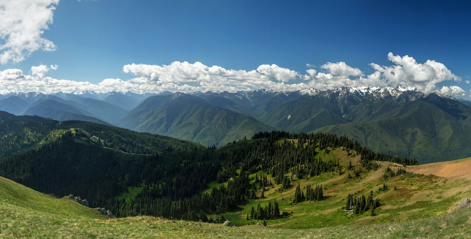 Open Where the clouds go, evergreen mountains and low clouds