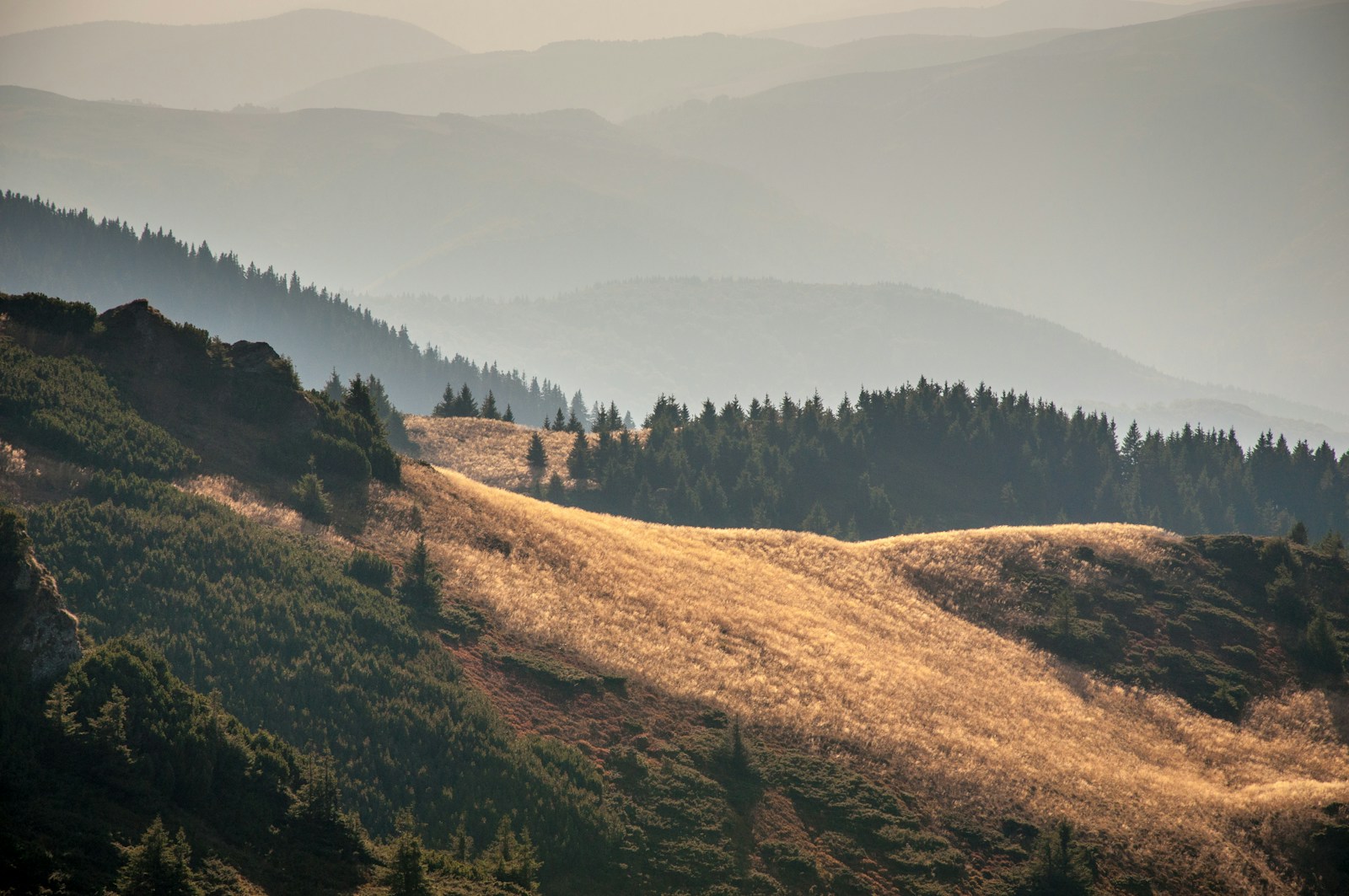 Soft layers of green hills fading into a pale distant valley